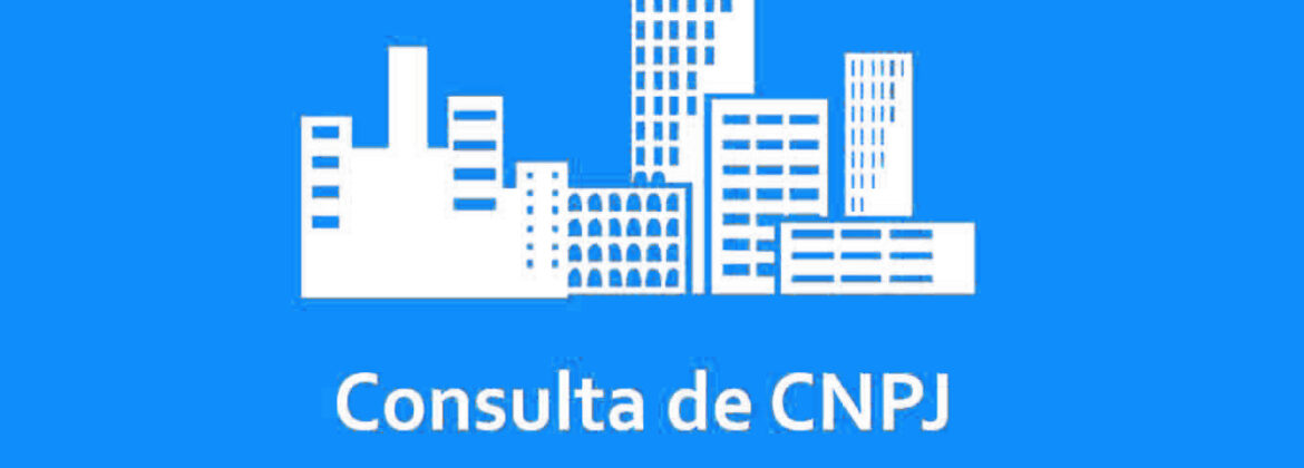 Add-on Consulta CNPJ