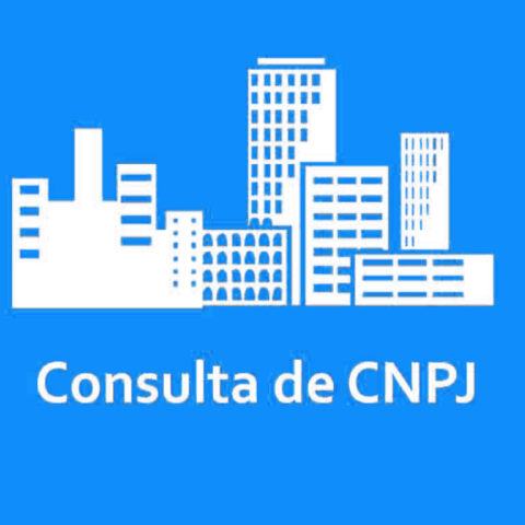 Add-on Consulta CNPJ