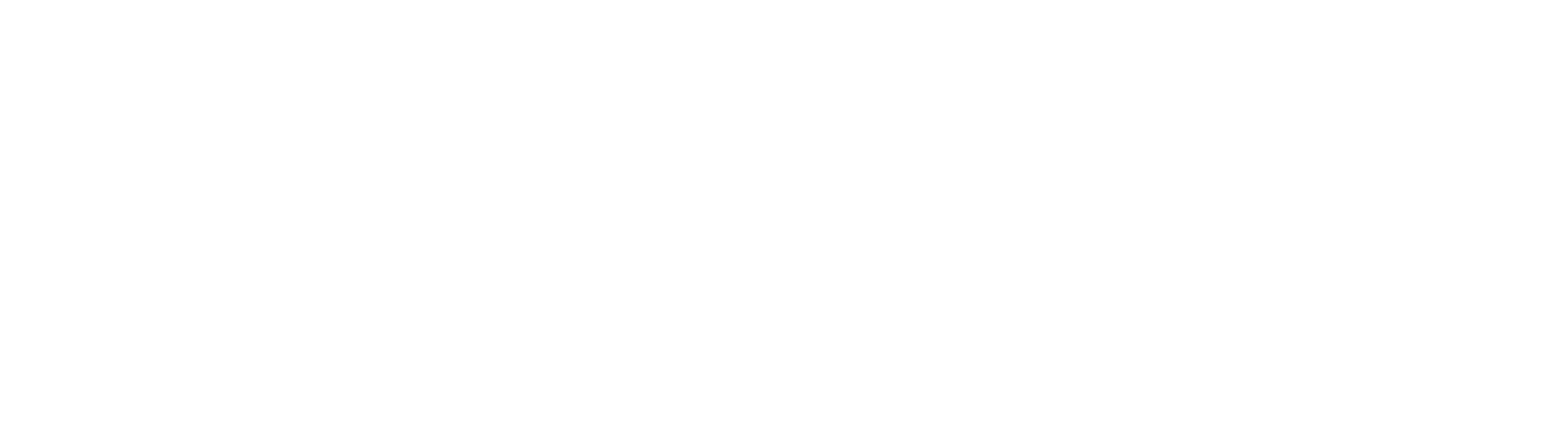 Claudino Software